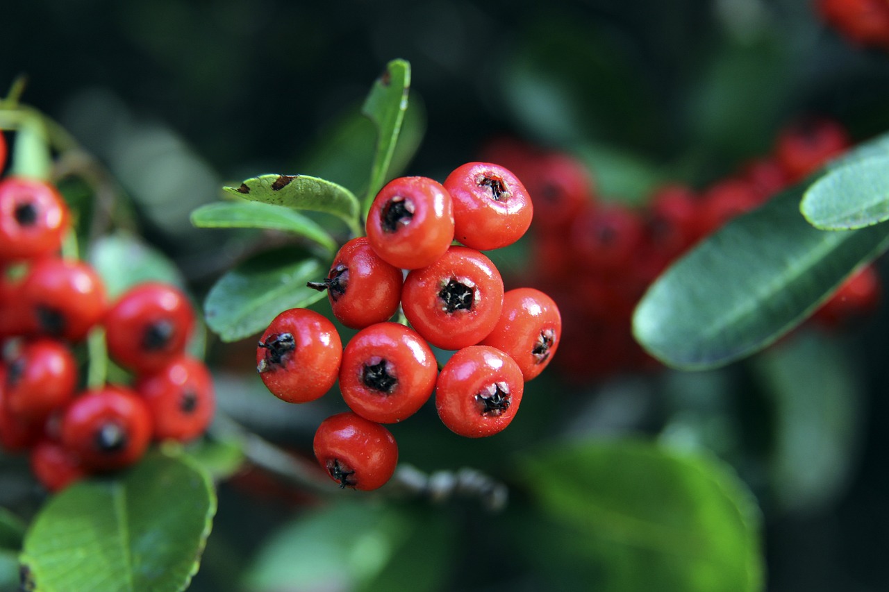 通过适度调 通过适度调