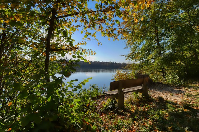 金量更加顯 金量更加顯