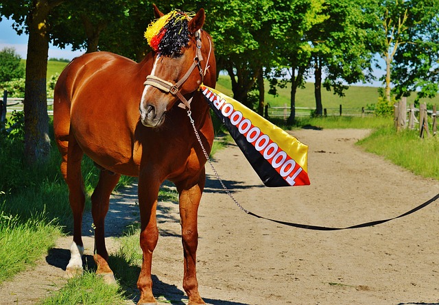 相信团队的 相信团队的