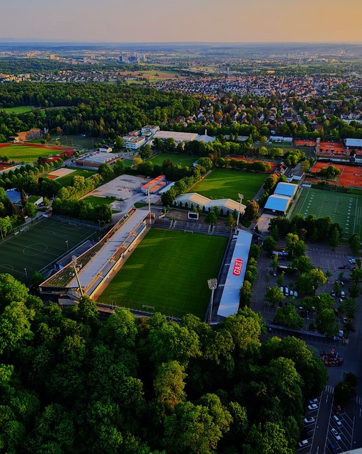 战术布局沿 战术布局沿