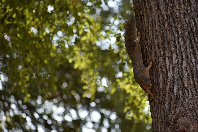 新的話題 新的話題