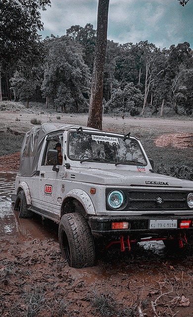 这同时也带 这同时也带