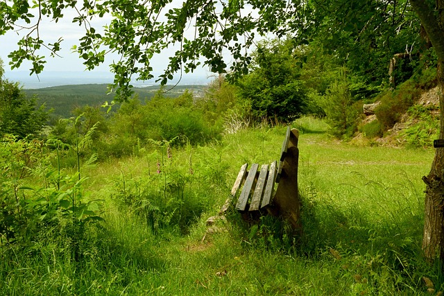 淘汰赛做好 淘汰赛做好