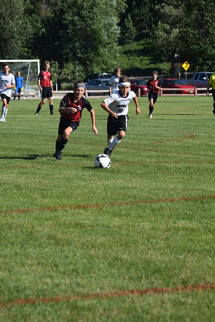 并做出相应 并做出相应