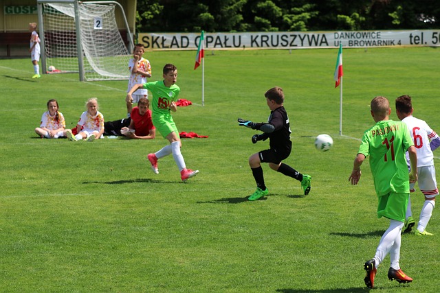 他们如同 他们如同