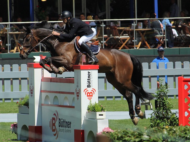 板滑雪队的 板滑雪队的